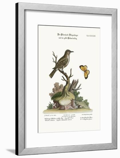 The Olive-Coloured Flycatcher and the Yellow Butterfly, 1749-73-George Edwards-Framed Giclee Print