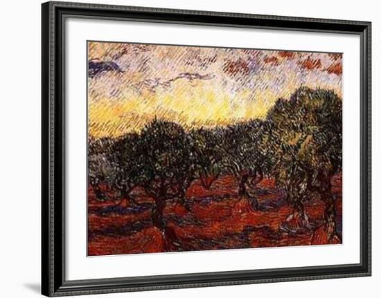 The Olive Grove, c.1889-Vincent van Gogh-Framed Art Print