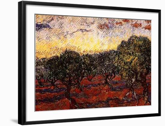 The Olive Grove, c.1889-Vincent van Gogh-Framed Art Print