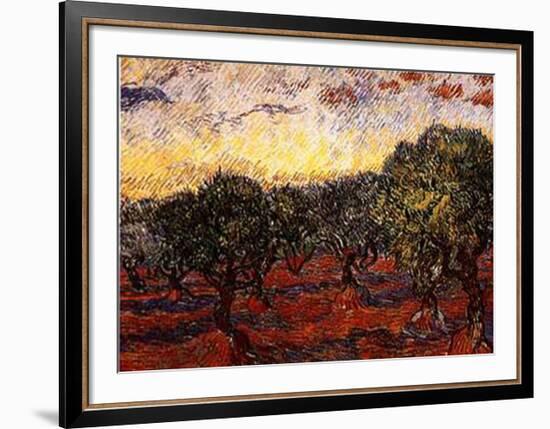 The Olive Grove, c.1889-Vincent van Gogh-Framed Art Print