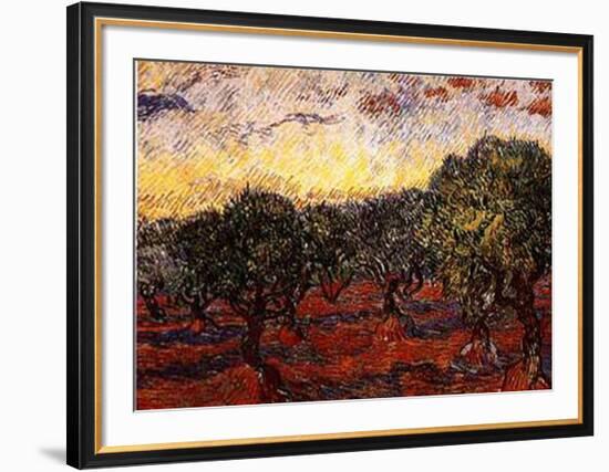 The Olive Grove, c.1889-Vincent van Gogh-Framed Art Print