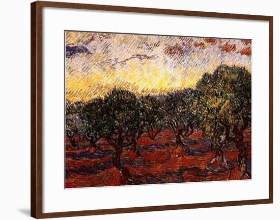 The Olive Grove, c.1889-Vincent van Gogh-Framed Art Print