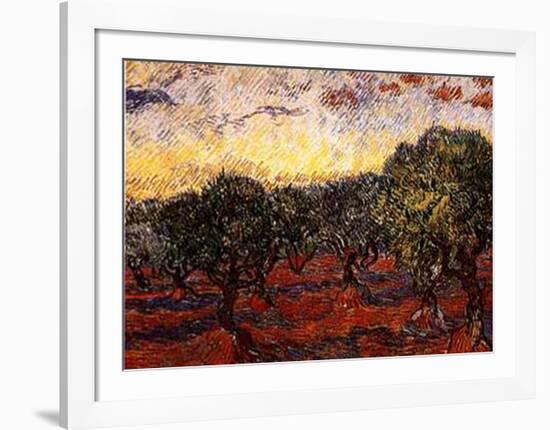 The Olive Grove, c.1889-Vincent van Gogh-Framed Art Print