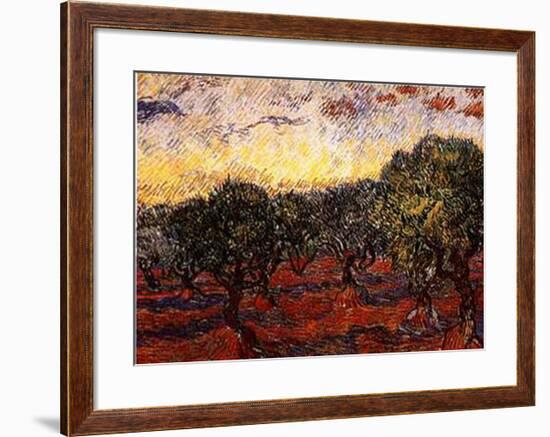 The Olive Grove, c.1889-Vincent van Gogh-Framed Art Print