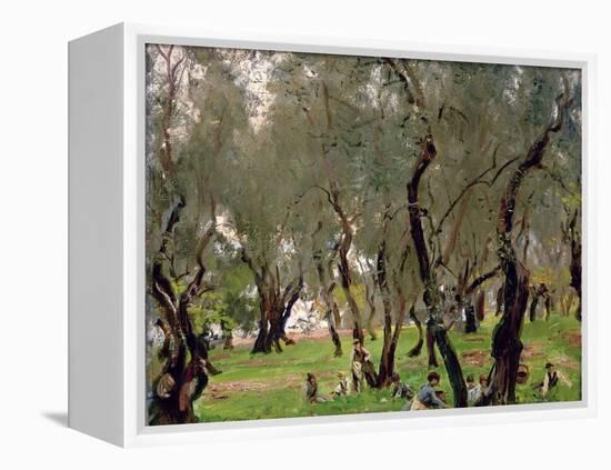The Olive Grove, C.1910-John Singer Sargent-Framed Premier Image Canvas