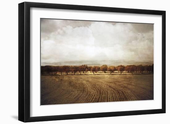 The Olive Grove-Heather Jacks-Framed Giclee Print