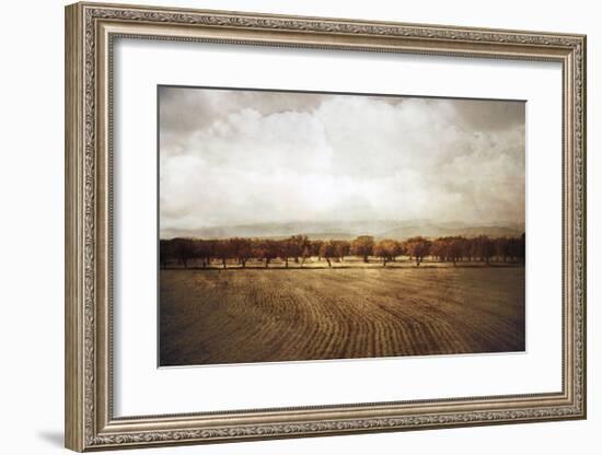 The Olive Grove-Heather Jacks-Framed Giclee Print