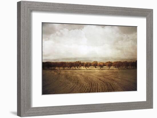 The Olive Grove-Heather Jacks-Framed Giclee Print