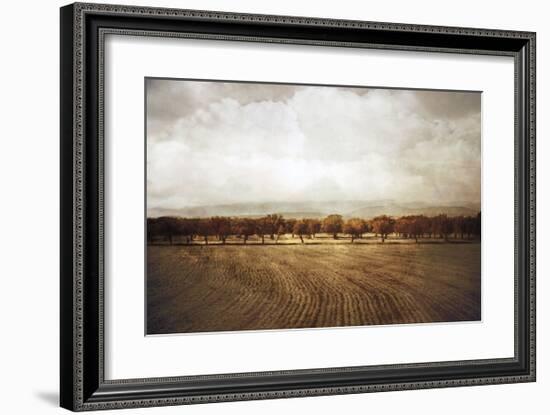 The Olive Grove-Heather Jacks-Framed Giclee Print