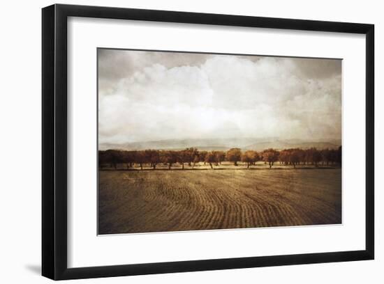 The Olive Grove-Heather Jacks-Framed Giclee Print