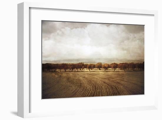 The Olive Grove-Heather Jacks-Framed Giclee Print