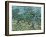 The Olive Grove-Vincent van Gogh-Framed Giclee Print