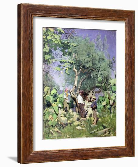 The Olive Harvest, 1884 by Peder Monsted-Peder Monsted-Framed Giclee Print