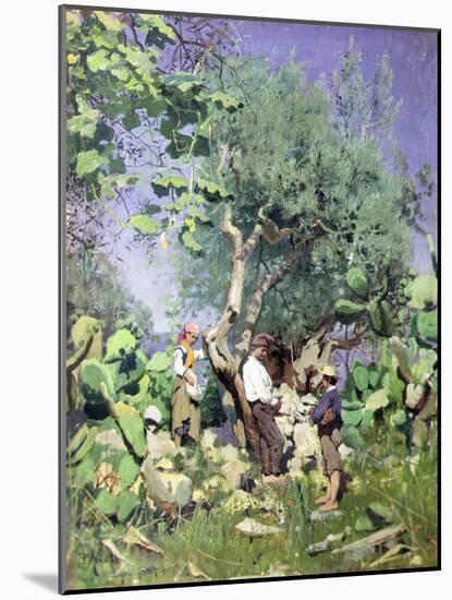 The Olive Harvest, 1884 by Peder Monsted-Peder Monsted-Mounted Giclee Print