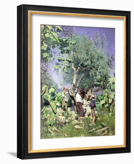 The Olive Harvest, 1884 by Peder Monsted-Peder Monsted-Framed Giclee Print