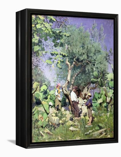 The Olive Harvest, 1884 by Peder Monsted-Peder Monsted-Framed Premier Image Canvas