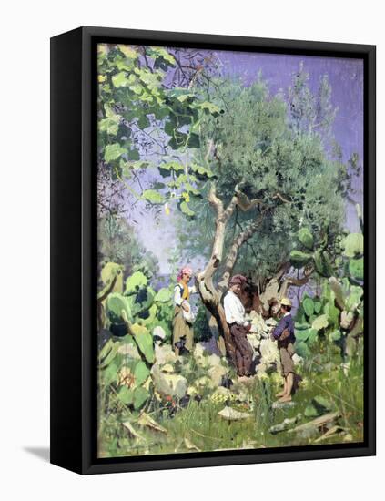 The Olive Harvest, 1884 by Peder Monsted-Peder Monsted-Framed Premier Image Canvas