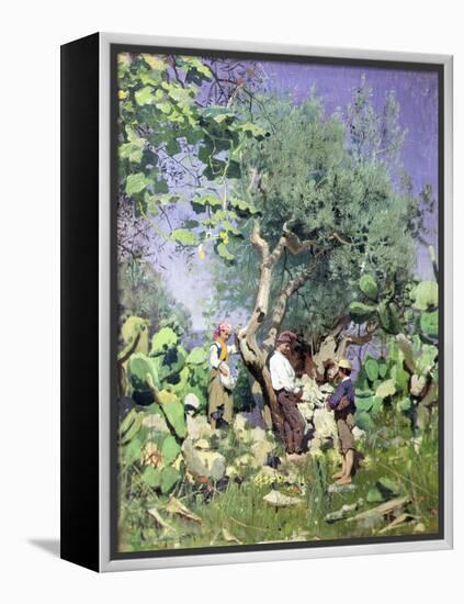 The Olive Harvest, 1884 by Peder Monsted-Peder Monsted-Framed Premier Image Canvas