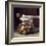 The Olive Jar-Cathy Lamb-Framed Giclee Print