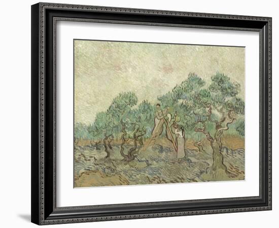 The Olive Orchard, 1889-Vincent van Gogh-Framed Giclee Print