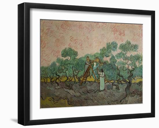 The Olive Pickers, 1889-Vincent van Gogh-Framed Giclee Print