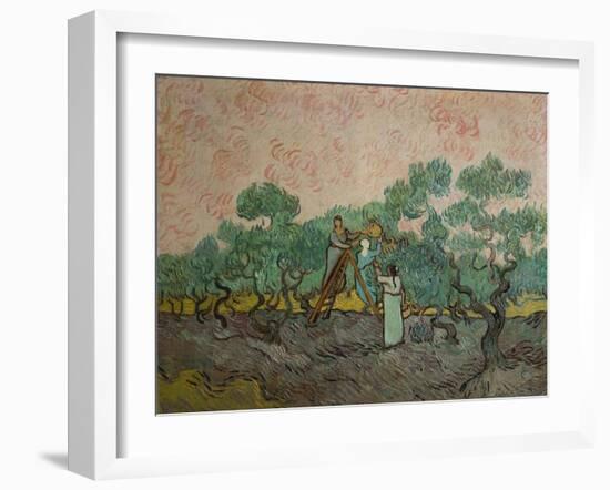 The Olive Pickers, 1889-Vincent van Gogh-Framed Giclee Print