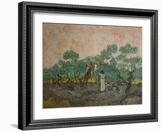 The Olive Pickers, 1889-Vincent van Gogh-Framed Giclee Print