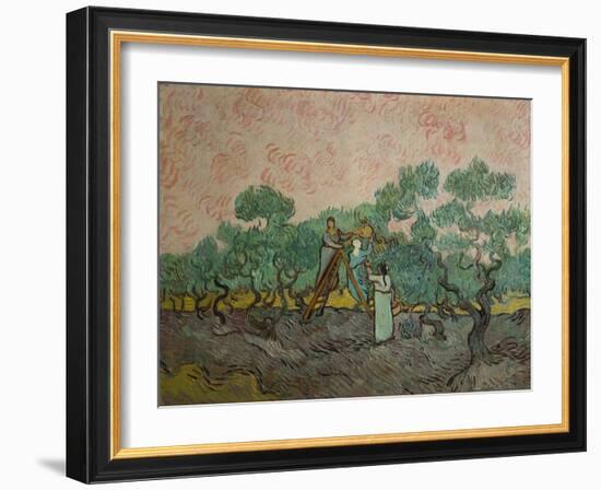 The Olive Pickers, 1889-Vincent van Gogh-Framed Giclee Print