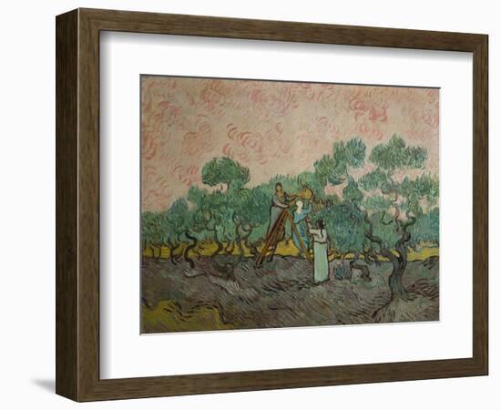 The Olive Pickers, 1889-Vincent van Gogh-Framed Giclee Print