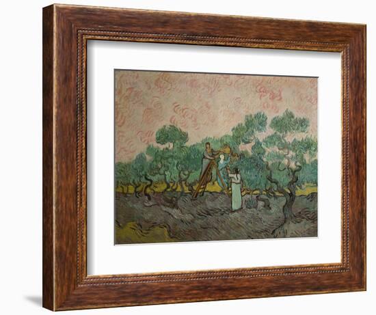 The Olive Pickers, 1889-Vincent van Gogh-Framed Giclee Print