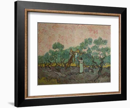 The Olive Pickers, 1889-Vincent van Gogh-Framed Giclee Print