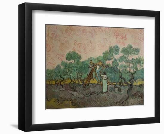 The Olive Pickers, 1889-Vincent van Gogh-Framed Giclee Print