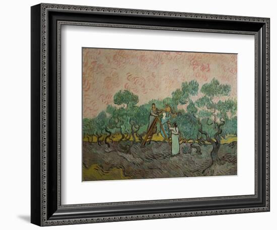 The Olive Pickers, 1889-Vincent van Gogh-Framed Giclee Print