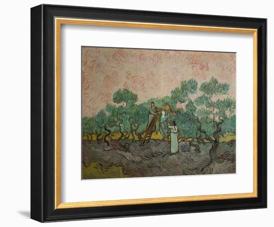 The Olive Pickers, 1889-Vincent van Gogh-Framed Giclee Print