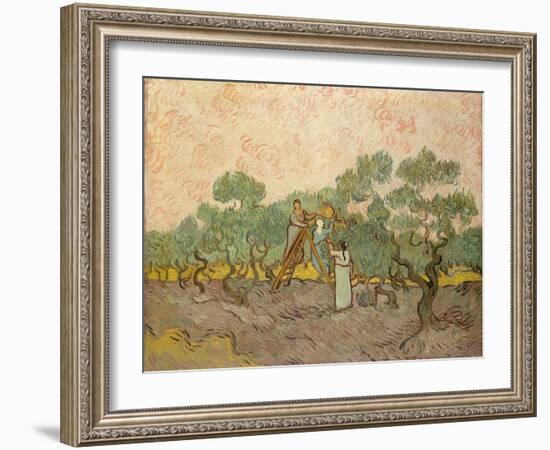 The Olive Pickers, Saint-Remy, 1889-Vincent van Gogh-Framed Giclee Print