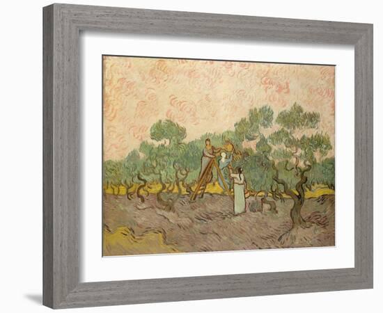 The Olive Pickers, Saint-Remy, 1889-Vincent van Gogh-Framed Giclee Print