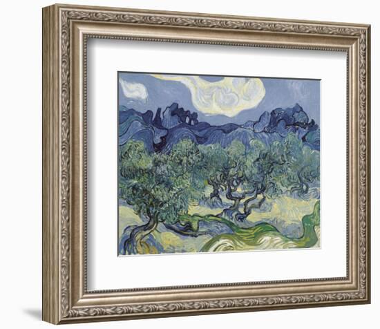 The Olive Trees, 1889-Vincent van Gogh-Framed Art Print