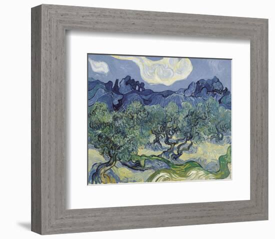 The Olive Trees, 1889-Vincent van Gogh-Framed Art Print