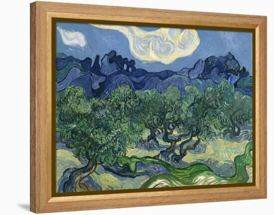 The Olive Trees, 1889-Vincent van Gogh-Framed Premier Image Canvas