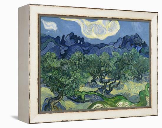 The Olive Trees, 1889-Vincent van Gogh-Framed Premier Image Canvas