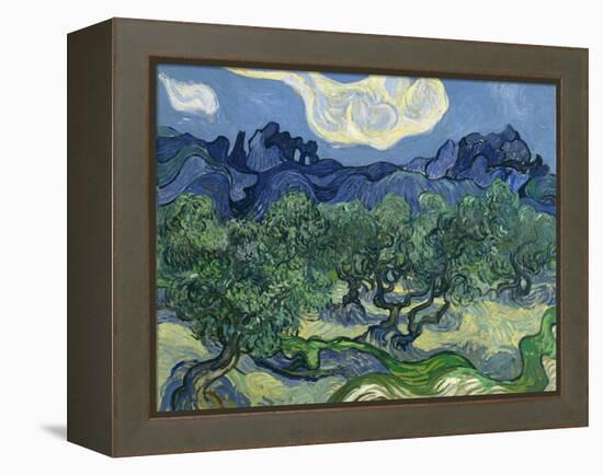 The Olive Trees, 1889-Vincent van Gogh-Framed Premier Image Canvas