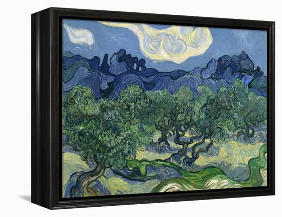 The Olive Trees, 1889-Vincent van Gogh-Framed Premier Image Canvas