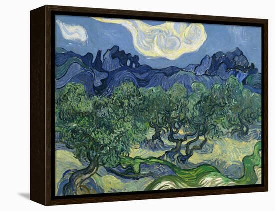 The Olive Trees, 1889-Vincent van Gogh-Framed Premier Image Canvas