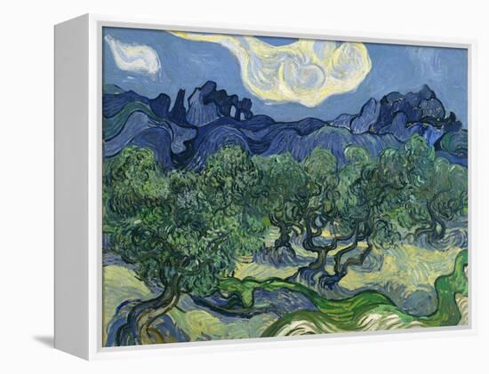 The Olive Trees, 1889-Vincent van Gogh-Framed Premier Image Canvas