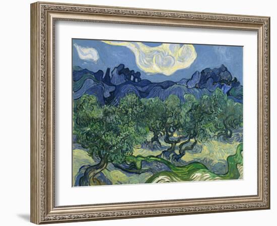 The Olive Trees, 1889-Vincent van Gogh-Framed Premium Giclee Print