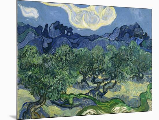 The Olive Trees, 1889-Vincent van Gogh-Mounted Premium Giclee Print