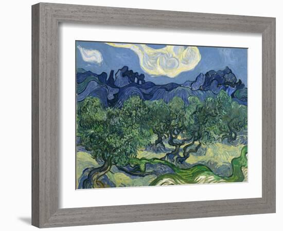 The Olive Trees, 1889-Vincent van Gogh-Framed Giclee Print