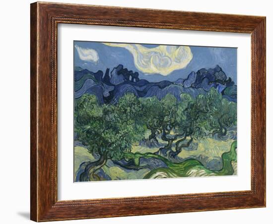 The Olive Trees. 1889-Vincent van Gogh-Framed Giclee Print