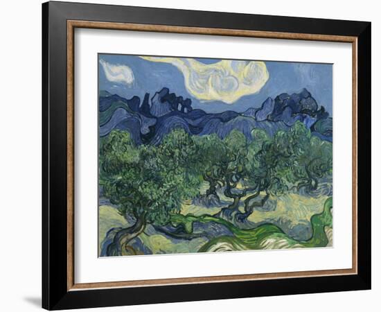 The Olive Trees. 1889-Vincent van Gogh-Framed Giclee Print