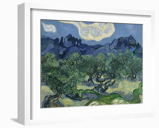 The Olive Trees. 1889-Vincent van Gogh-Framed Giclee Print